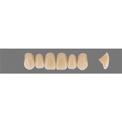Vita Vitapan EXCELL Classical, Upper, Anterior, Shade C1, Mould T44