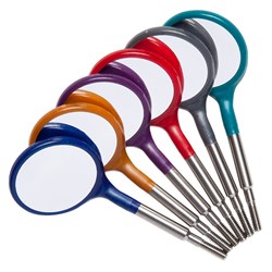 ZIRC Crystal Plastic Mirror Head - Jewel Assorted - Size 4 - Simple Stem -, 12-Pack