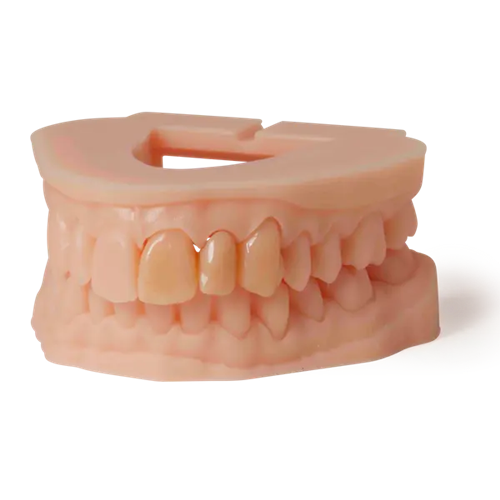 FL-RS-RPS-DMBE03_2