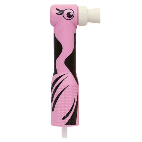 zooby-flamingo-prophy-angle