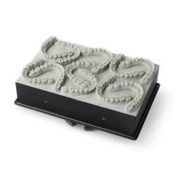 fast_model_resin
