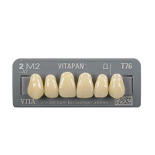 Vita Vitapan 3D, Upper, Anterior, Shade 1M1, Mould T76