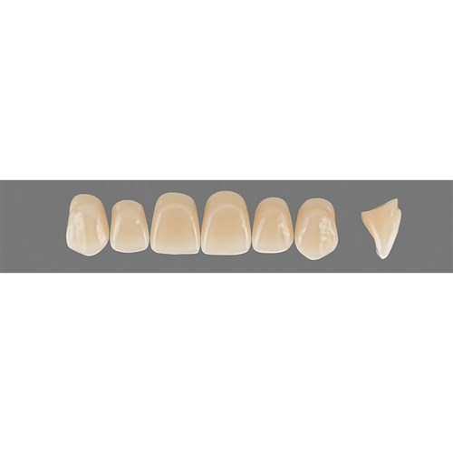 Vita Vitapan 3D, Upper, Anterior, Shade 1M1, Mould X96