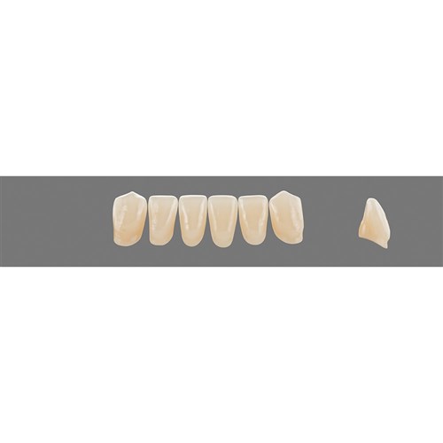 3M1 Lower L9 Anterior L3 - L15