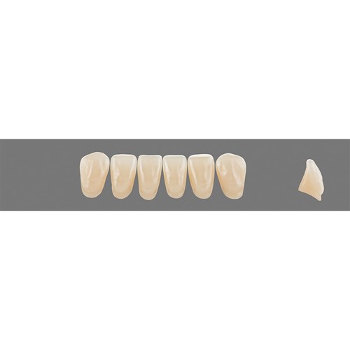 3M2 Lower L10 Anterior L3 - L15