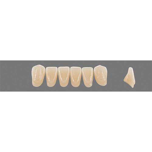 3M2 Lower L12 Anterior L3 - L15
