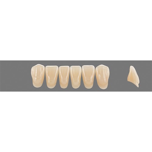 3M2 Lower L14 Anterior L3 - L15