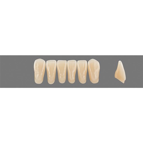 3M2 Lower L15 Anterior L3 - L15