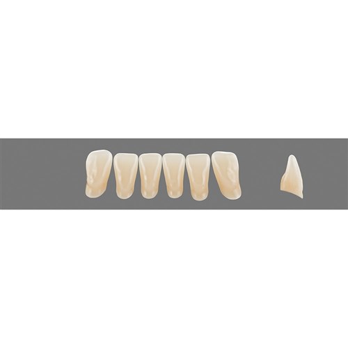 3M3 Lower L11 Anterior L3 - L15