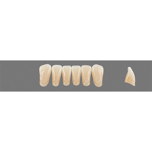 3M3 Lower L5 Anterior L3 - L15