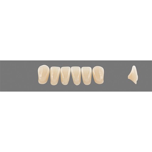 3M3 Lower L7 Anterior L3 - L15