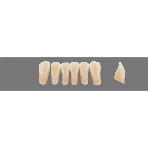 4L25 Lower L5L Anterior L3 - L15