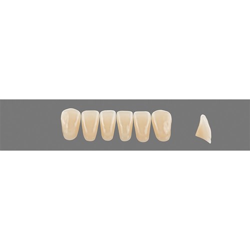 4M2 Lower L13 Anterior L3 - L15