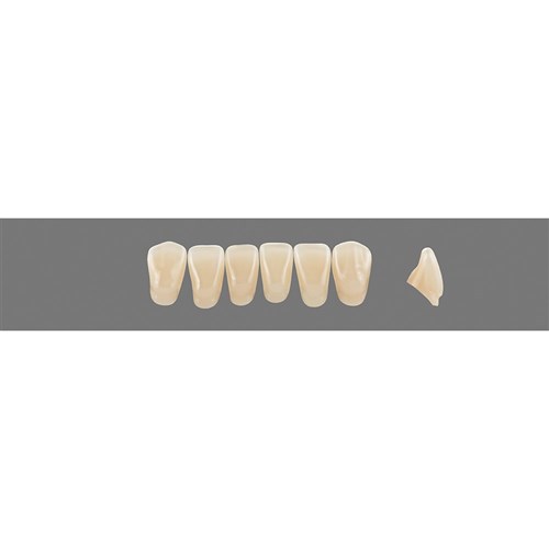 4M3 Lower L3 Anterior L3 - L15