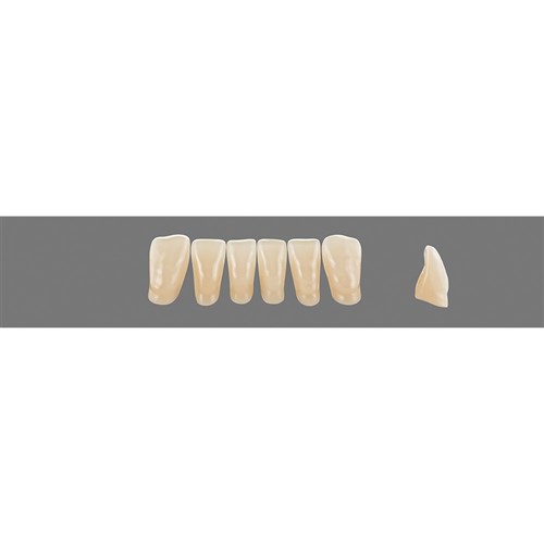 4M3 Lower L4 Anterior L3 - L15