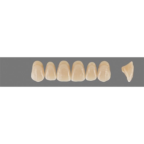Vita MFT Upper, Anterior, Shade 1M1 B1, Mould T46