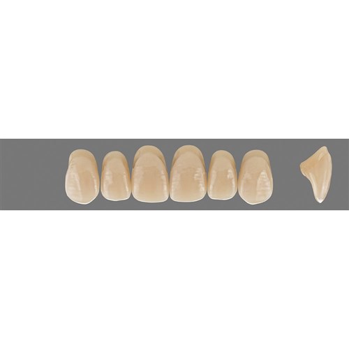 4L15 C3 Upper O49 Anterior