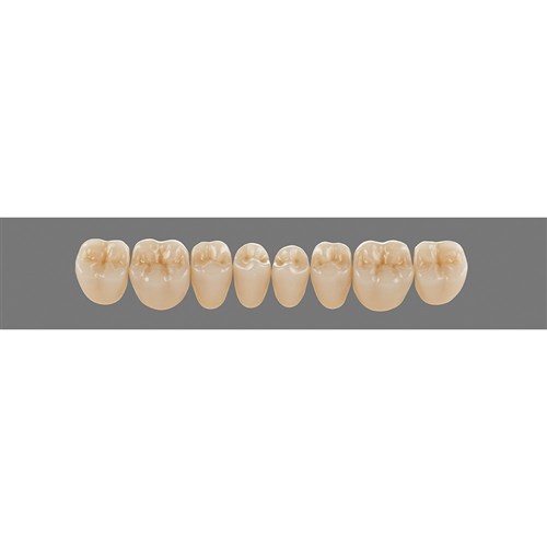4L15 Lower PL29 Posterior