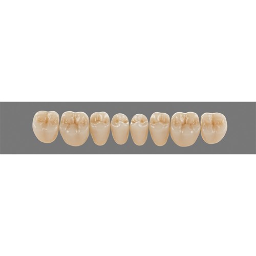 4L15 Lower PL31 Posterior