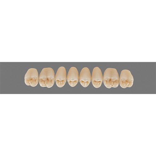 4L15 Upper PU29 Posterior