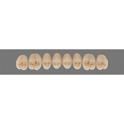 4L15 Upper PU31 Posterior