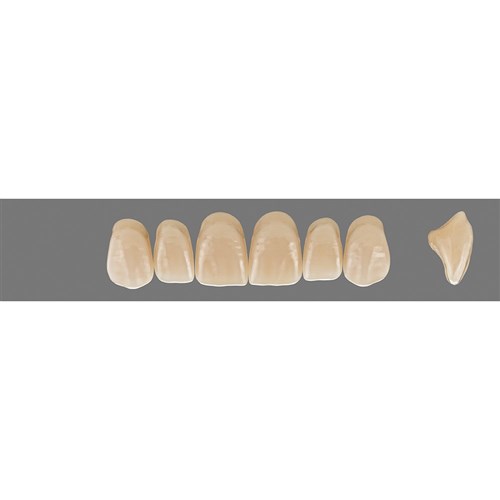 4L15 C3 Upper S47 Anterior