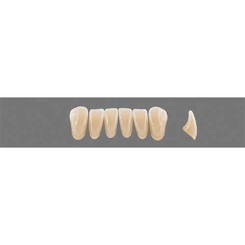 Vita MFT Lower, Anterior, Classical Shade A3, Mould L33