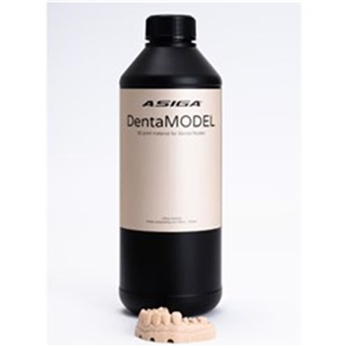 Asiga DentaMODEL - 1L Bottle