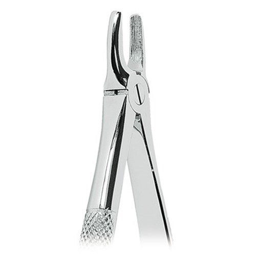 ASA Dental Forceps - #2 - Upper Incisors and Canines