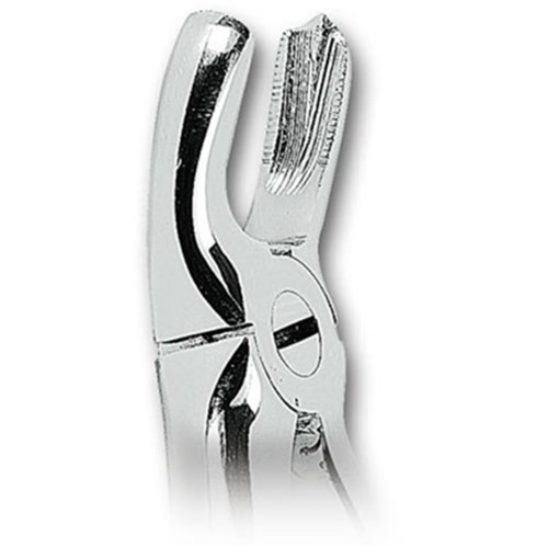ASA Upper Left and Upper Right Molar Forceps