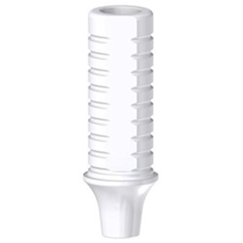 Ankylos Plastic Cast GH2/3 NE