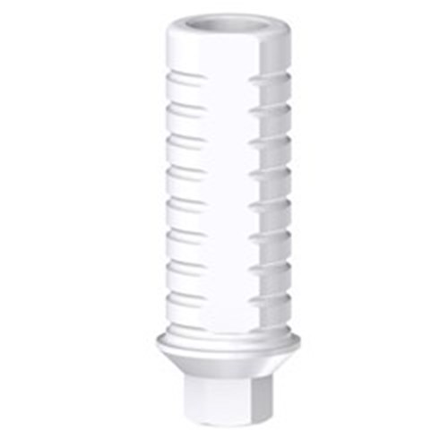 MIS Plastic Cast Eng SP