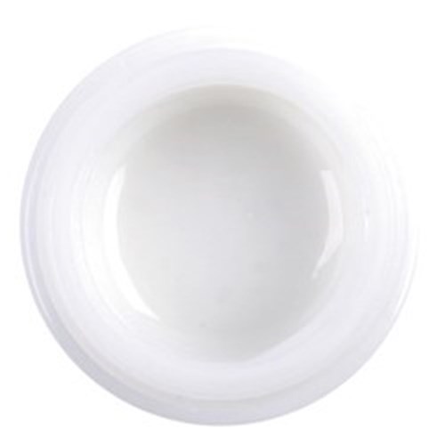 GC Initial IQ Lustre Paste ONE - 3-Dimensional Ceramic Pastes - Neutral Shade L-N 12g