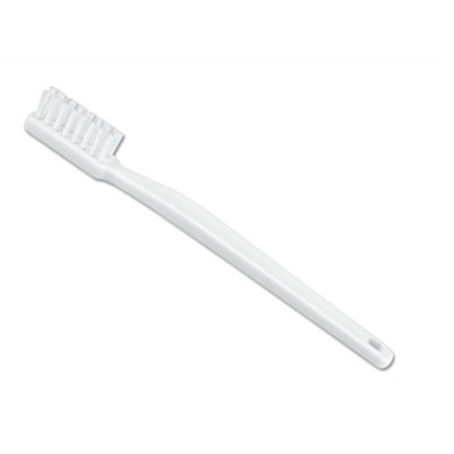 Hager and Werken Giant Dental Model and Toothbrush