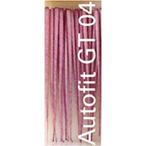 ANALYTIC Autofit Paper Points Great Taper .04
