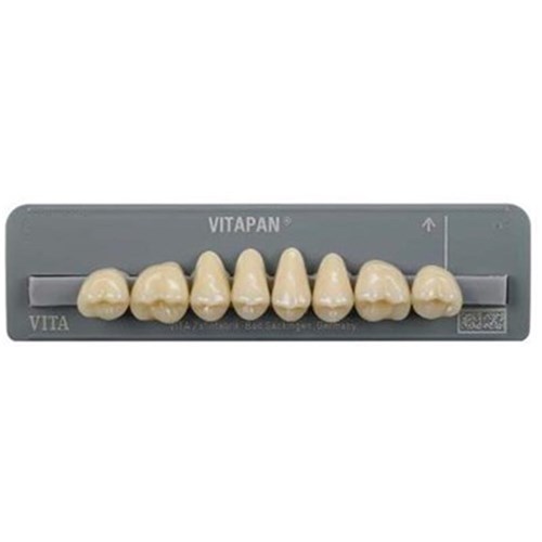 3L25 Upper 40CU Cuspiform