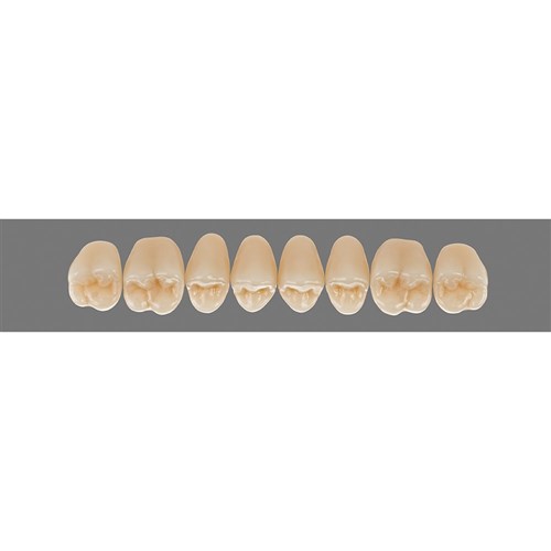 Upper 22L A3 Lingoform Teeth - Classical