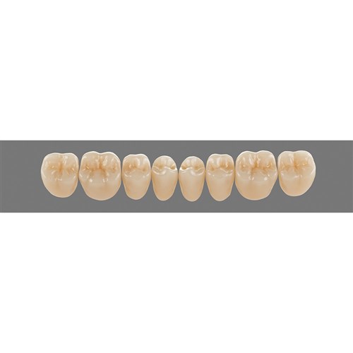 Lower 22L A35 Lingoform Teeth - Classical