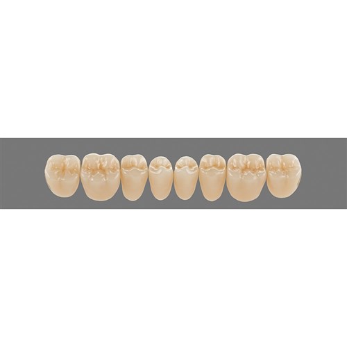 Lower 21L D3 Lingoform Teeth - Classical
