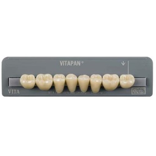 Lower   D3 44C Cuspiform