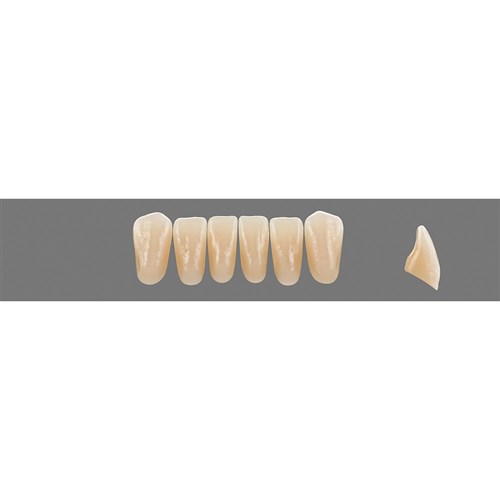 0M3 Lower L35 Anterior
