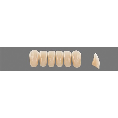 2M3 Lower L37 Anterior