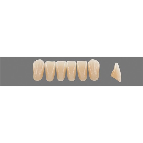 2M3 Lower L39 Anterior