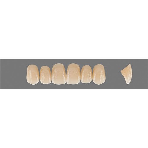 2M3 Upper O45 Anterior
