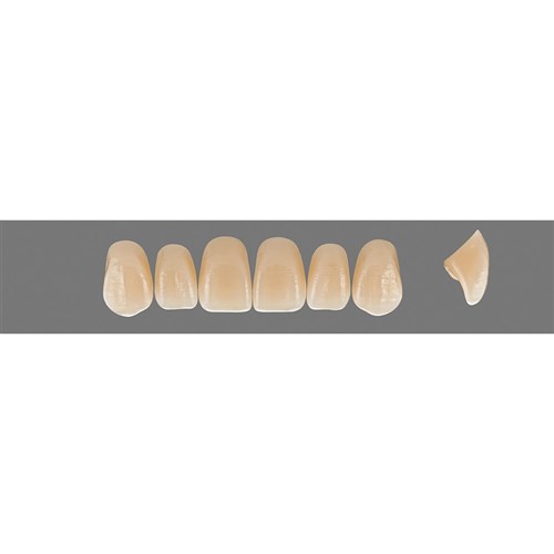 2M3 Upper R45 Anterior