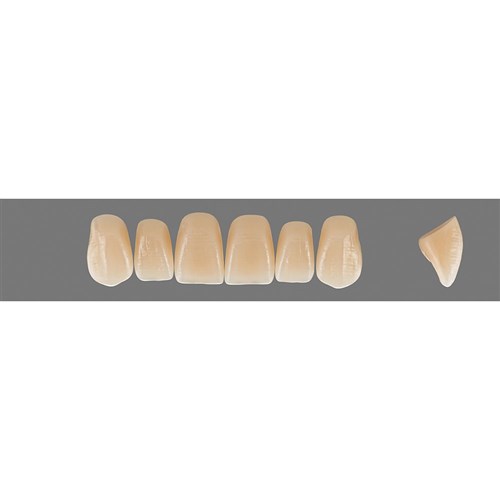 2M3 Upper S46 Anterior