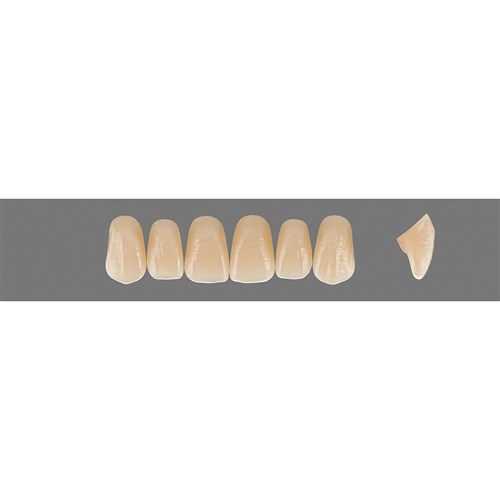 2M3 Upper T42 Anterior