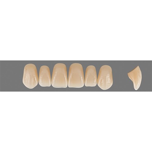 2M3 Upper T50 Anterior