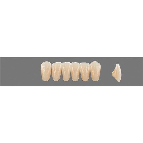 2R2.5 Lower L33 Anterior