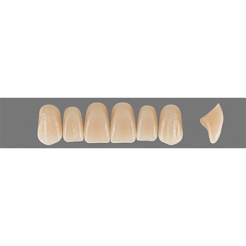 2R2.5 Upper R49 Anterior